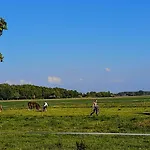 Chalet Weizicht Op Minicamping Hoogelande