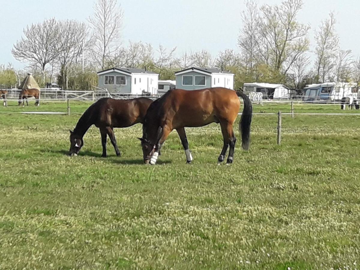 Weizicht Op Minicamping Hoogelande Chalet *