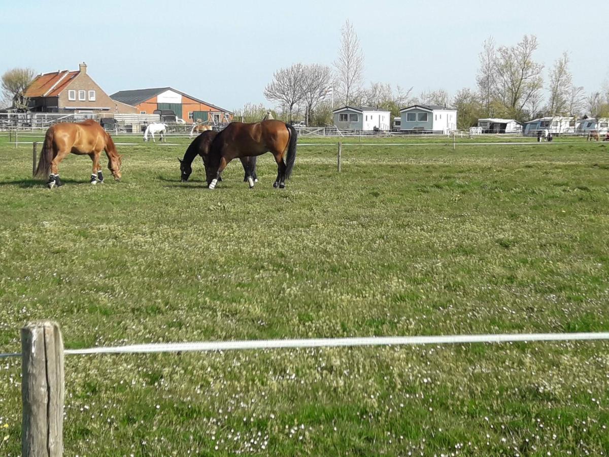 Chalet Weizicht Op Minicamping Hoogelande Grijpskerke