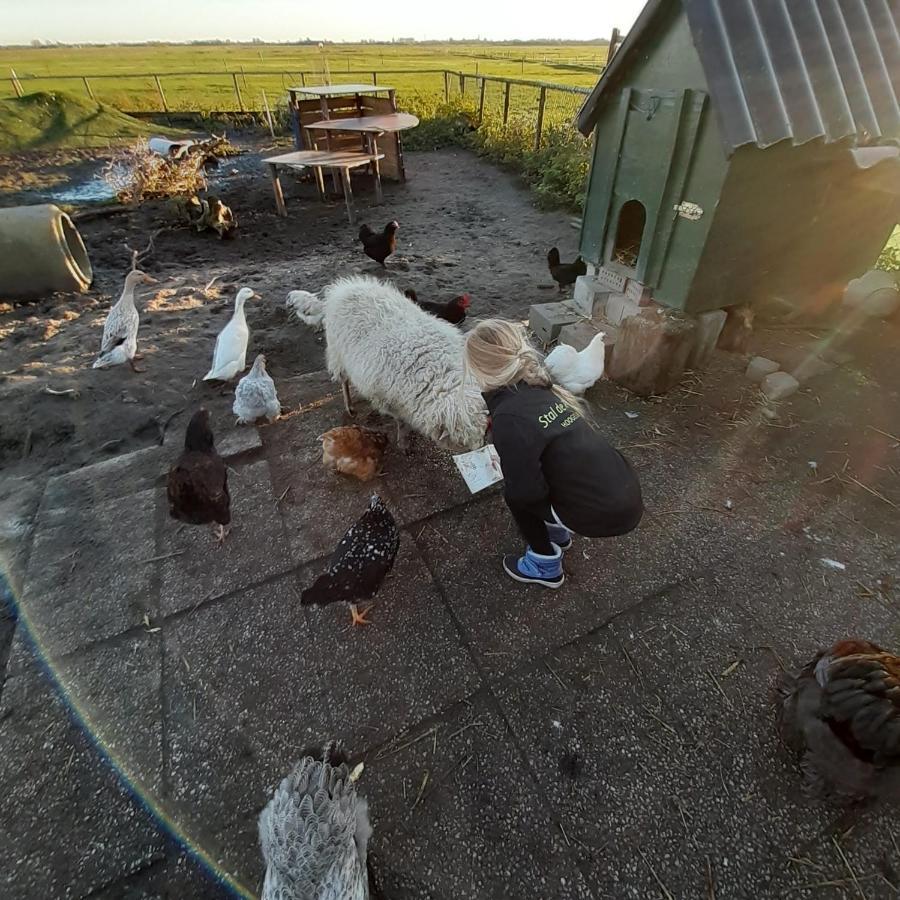 Weizicht Op Minicamping Hoogelande Chalet *