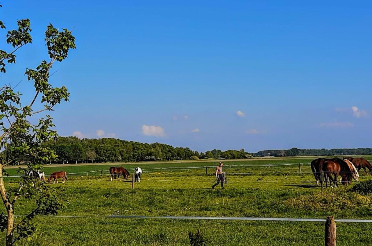 Weizicht Op Minicamping Hoogelande Chalet